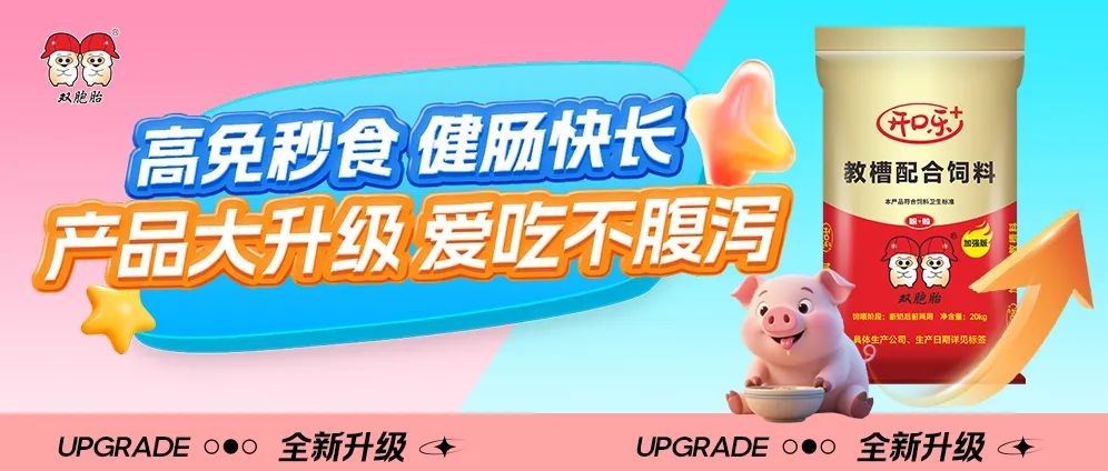 中国养猪网双胞胎共建栏目