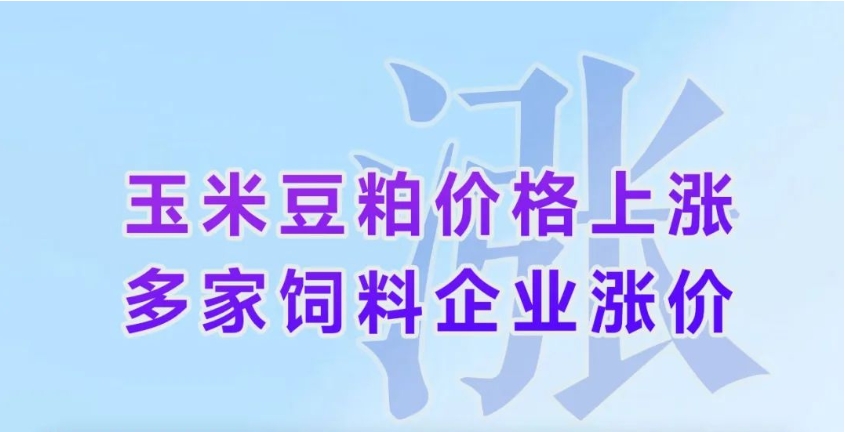 中国养猪网双胞胎共建栏目