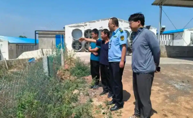 中国养猪网双胞胎共建栏目