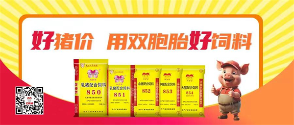 收储1.58万吨猪肉！后市行情有强支撑！二次育肥赶紧抓“窗口期”！