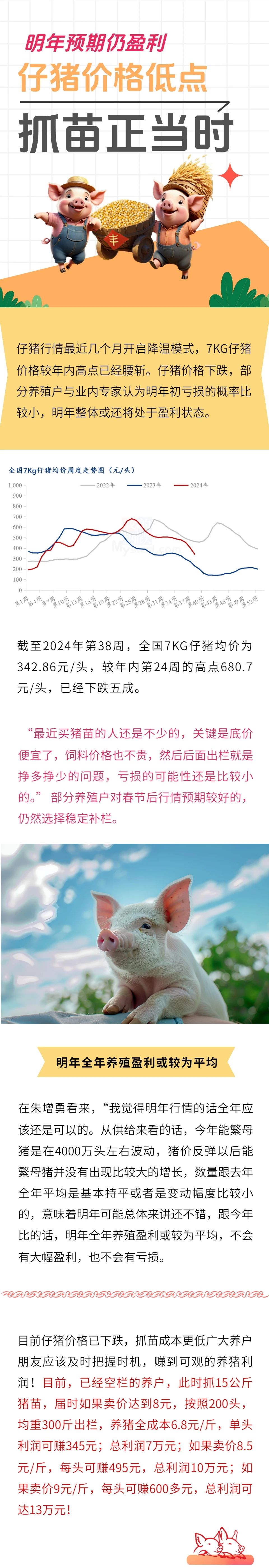 双胞胎养猪网共建栏目