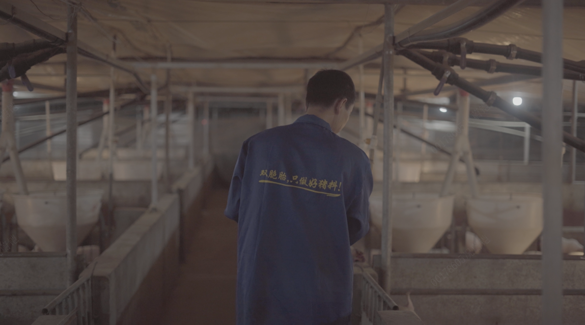 1761876508870852.png 5.png