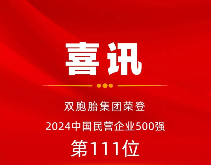 喜讯！双胞胎集团荣登2024中国民营企业500强第111位