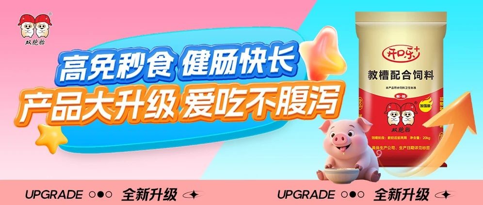 中国养猪网双胞胎共建栏目