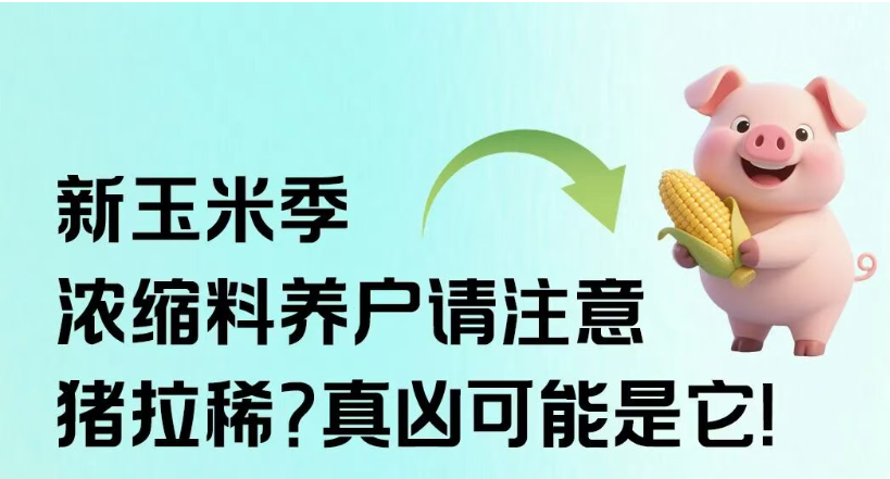 中国养猪网双胞胎共建栏目