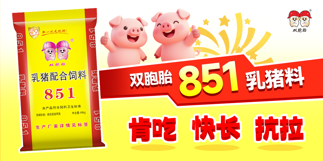 中国养猪网双胞胎共建栏目