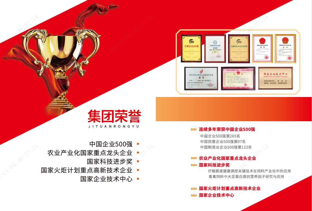 中国养猪网双胞胎共建栏目