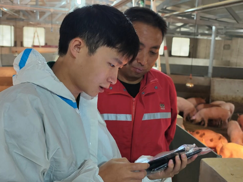 中国养猪网双胞胎共建栏目