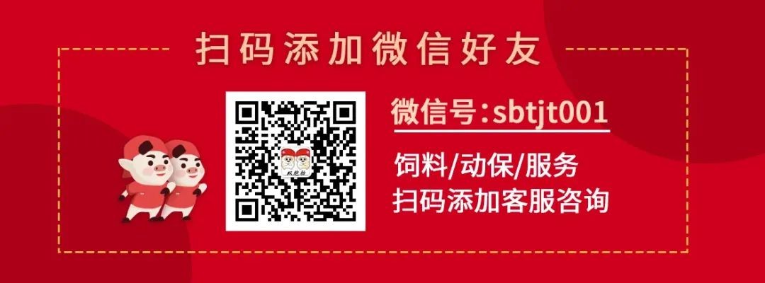 中国养猪网双胞胎共建栏目