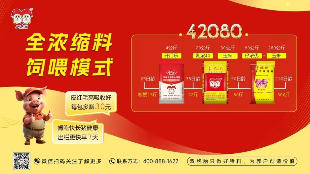 中国养猪网双胞胎共建栏目