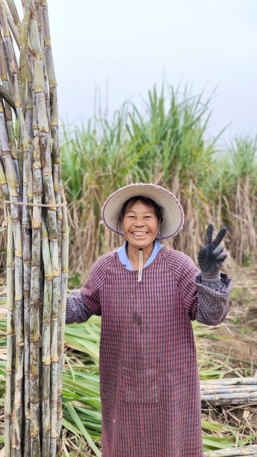 新华网报道：双胞胎集团种养循环，生态水肥助农减投增收，绘就乡村振兴新图景