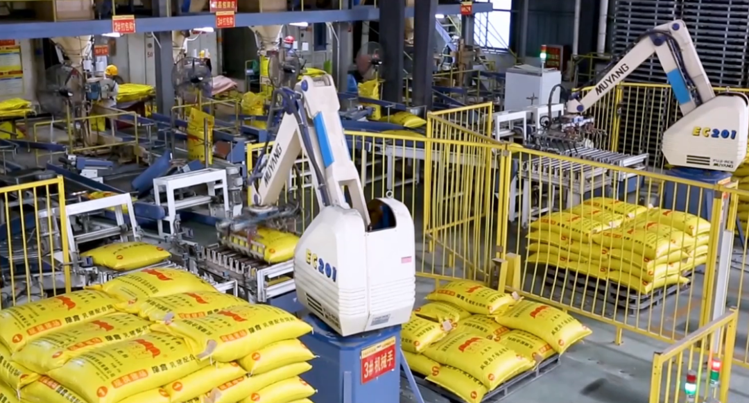 中国养猪网双胞胎共建栏目