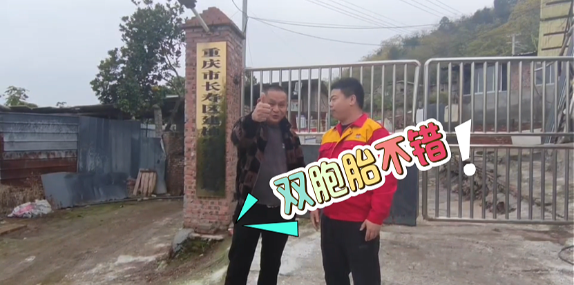 中国养猪网双胞胎共建栏目
