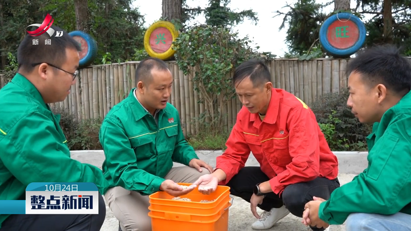 中国养猪网双胞胎共建栏目