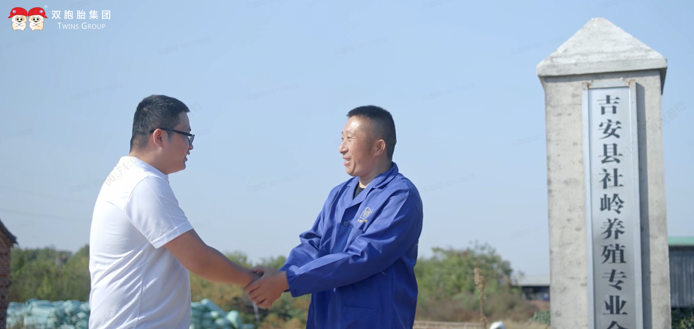 中国养猪网双胞胎共建栏目