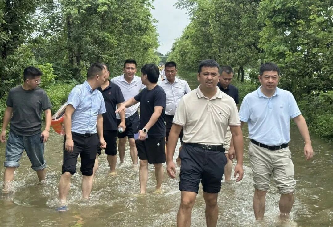 中国养猪网双胞胎共建栏目