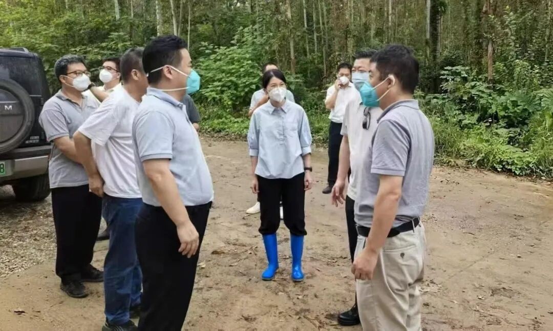 中国养猪网双胞胎共建栏目