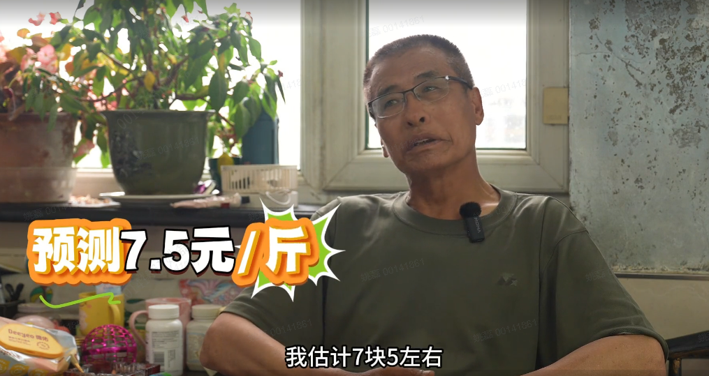 中国养猪网双胞胎共建栏目